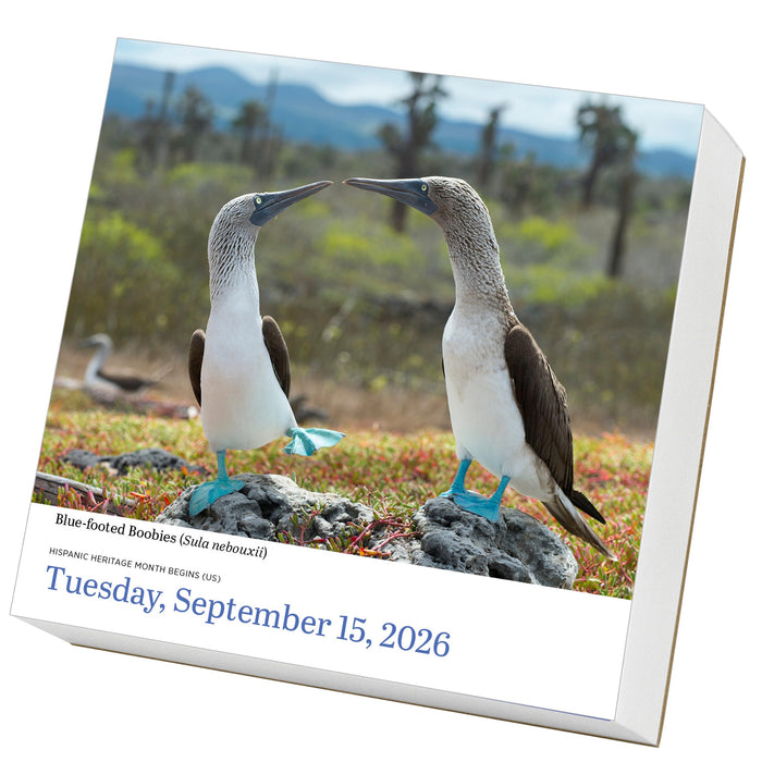 Audubon Birds 2026 Page-A-Day Calendar