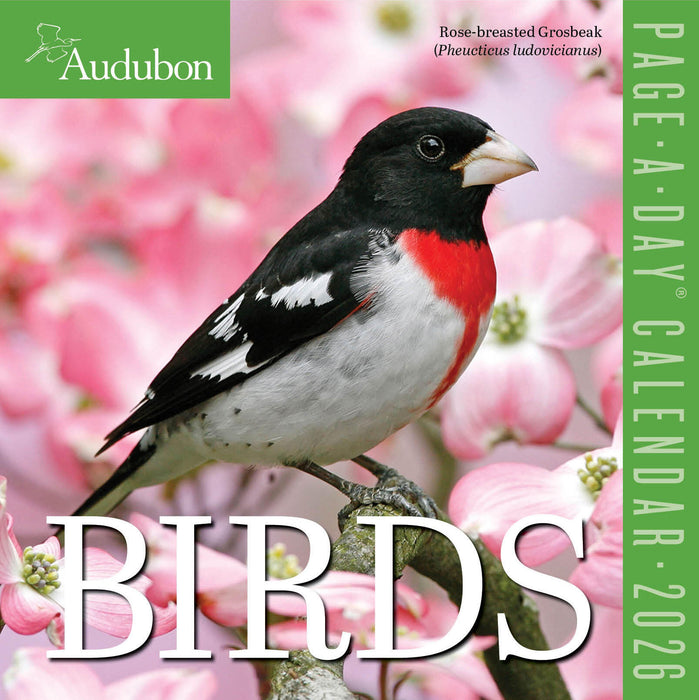 Audubon Birds 2026 Page-A-Day Calendar
