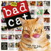 Bad Cat 2026 Square Wall Calendar