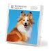 Dog Gallery 2026 Page-A-Day Calendar