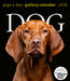 Dog Gallery 2026 Page-A-Day Calendar