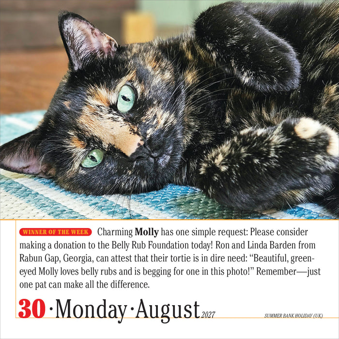 365 Cats 2027 Page-A-Day Calendar