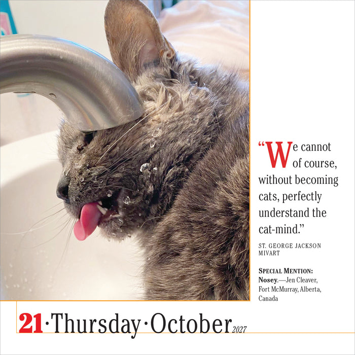 365 Cats 2027 Page-A-Day Calendar