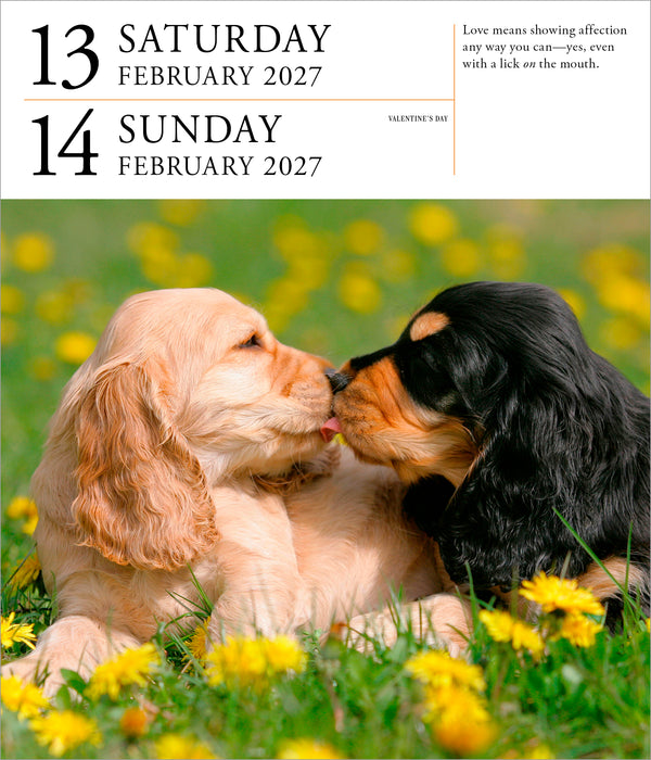 Dog Gallery 2027 Page-A-Day Calendar