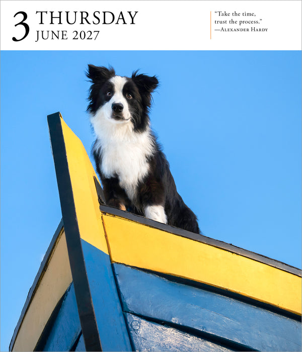 Dog Gallery 2027 Page-A-Day Calendar