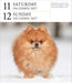 Dog Gallery 2027 Page-A-Day Calendar