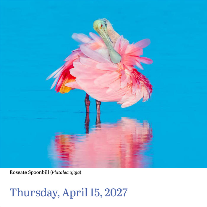 Audubon Birds 2027 Page-A-Day Calendar