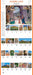 365 Days in Italy 2027 Large Wall Calendar