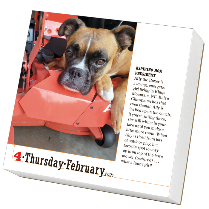 365 Dogs 2027 Page-A-Day Calendar
