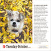 365 Dogs 2027 Page-A-Day Calendar