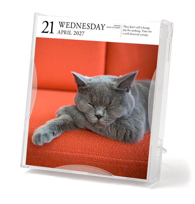 Cat Gallery 2027 Page-A-Day Calendar