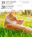 Cat Gallery 2027 Page-A-Day Calendar