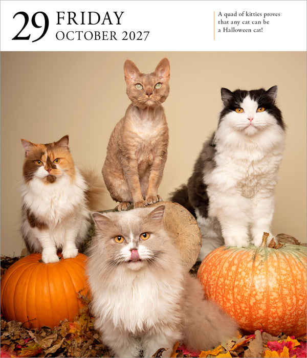 Cat Gallery 2027 Page-A-Day Calendar