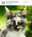 Cat Gallery 2027 Page-A-Day Calendar