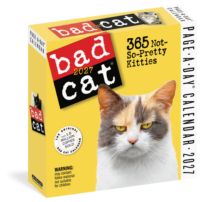 Bad Cat 2027 Page-A-Day Calendar