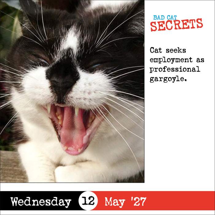 Bad Cat 2027 Page-A-Day Calendar