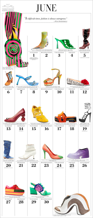 365 Days of Shoes 2027 Large Wall Calendar