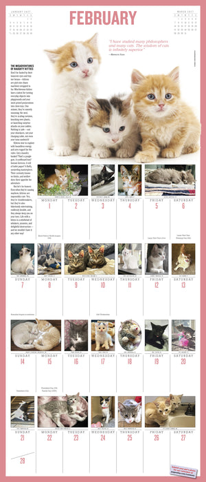 365 Kittens A Year 2027 Large Wall Calendar