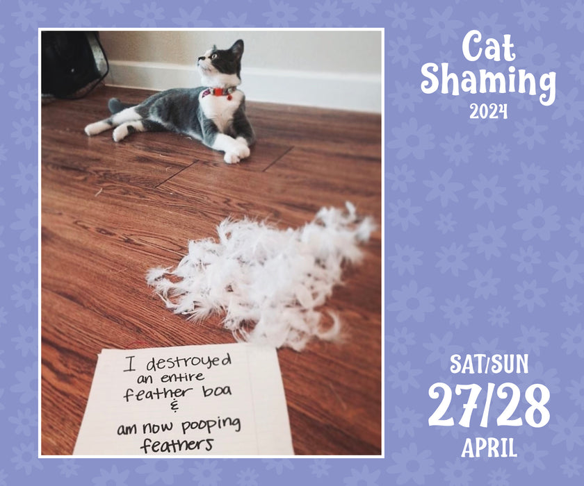 2024 Cat Shaming Page-A-Day