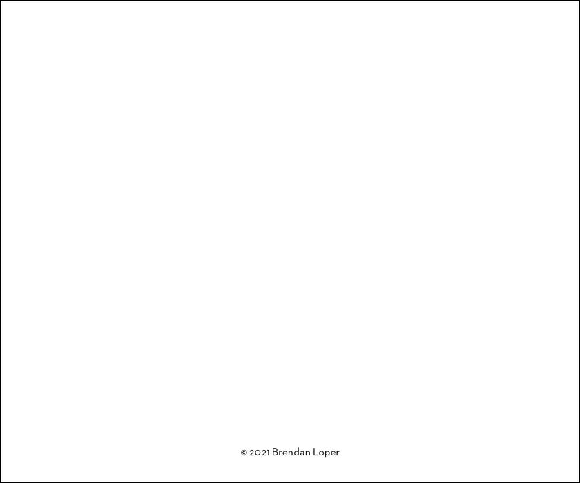 2024 Cartoons from The New Yorker Page-A-Day