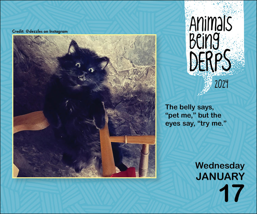 2024 Animals Being Derps Page A Day Calendar Club   9781524880194 2 840x700 