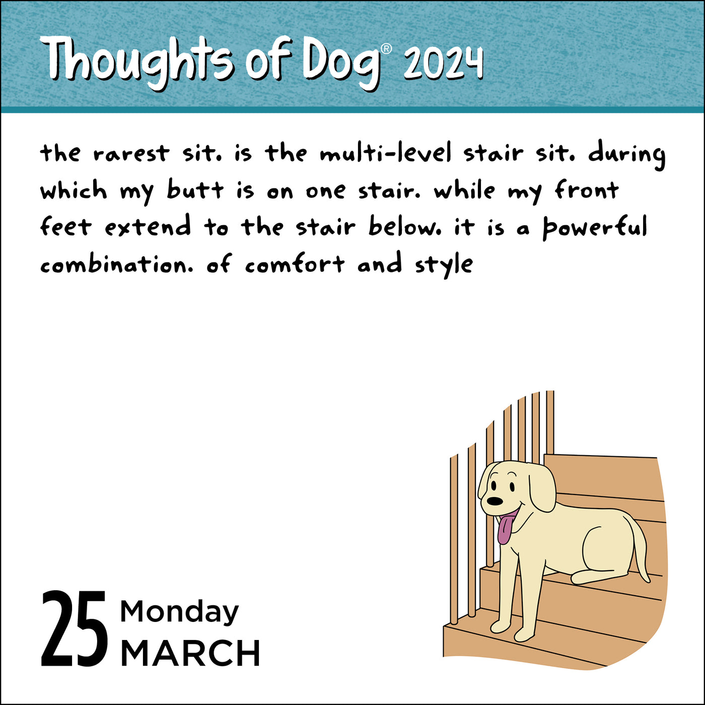 thoughts-of-dog-2025-day-to-day-calendar-book-summary-video