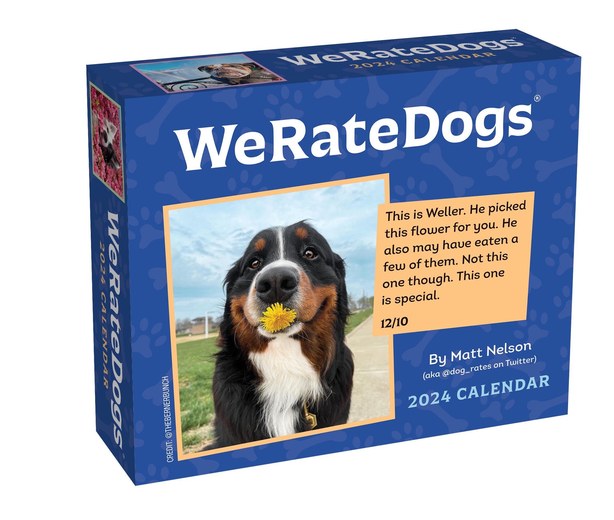 2024 WeRateDogs PageADay — Calendar Club