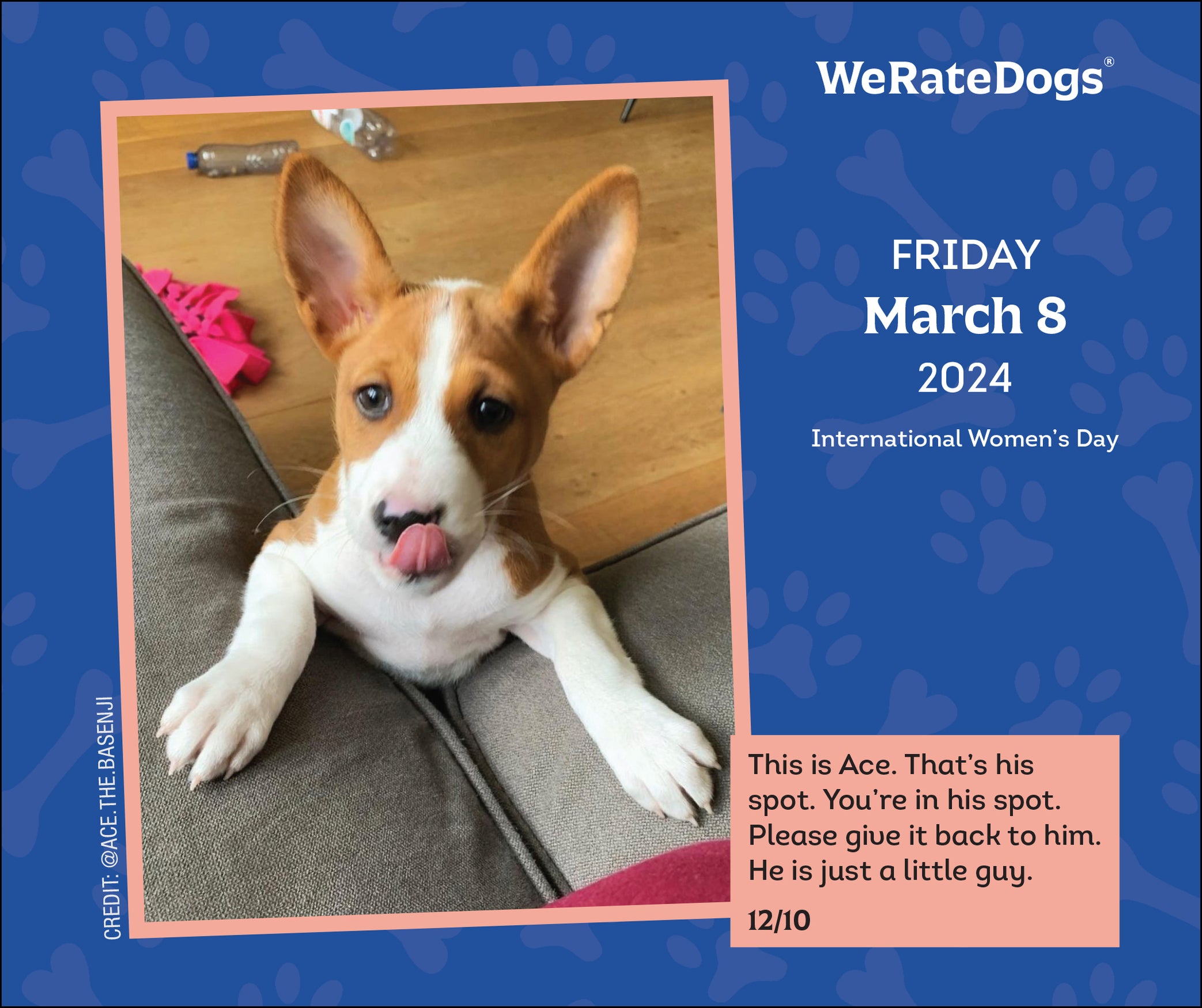 2024 WeRateDogs PageADay — Calendar Club