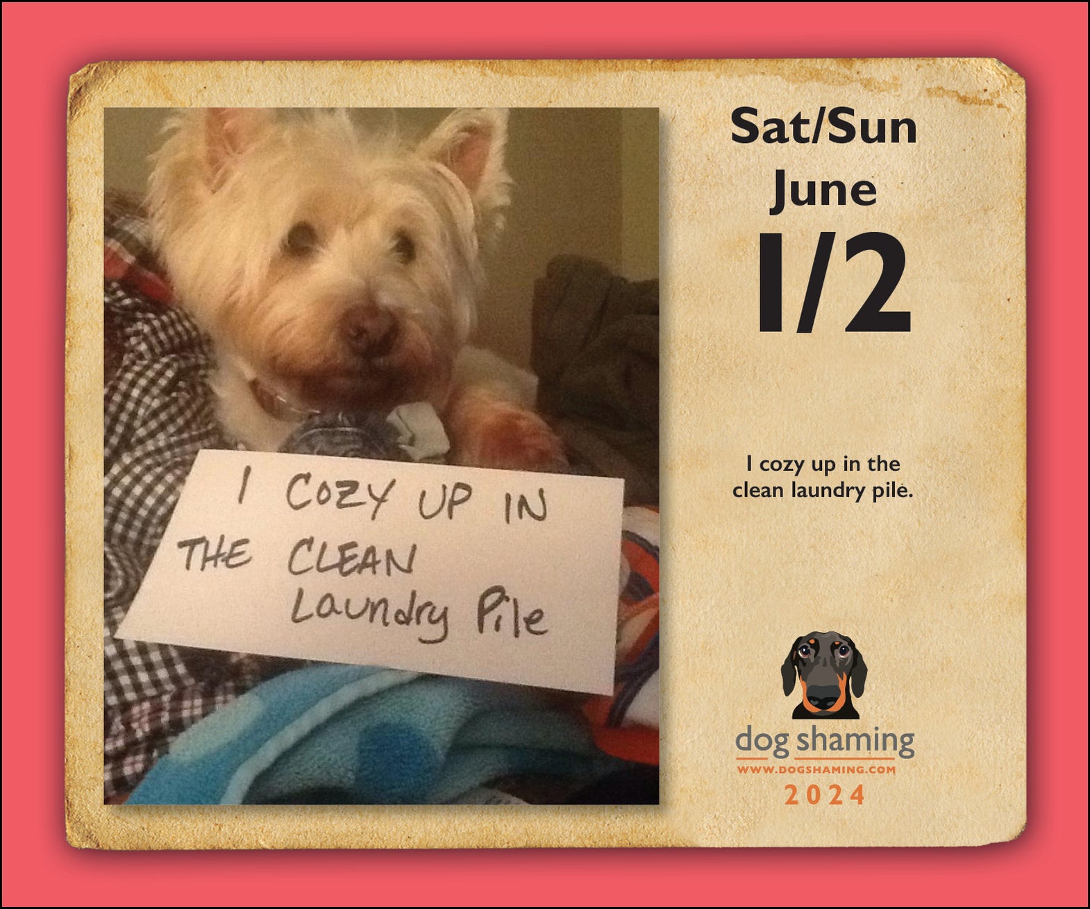 2024 Dog Shaming PageADay — Calendar Club