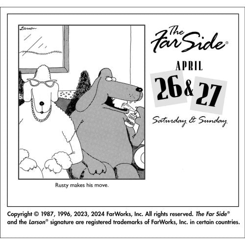 2025 Far Side Page-A-Day Calendar