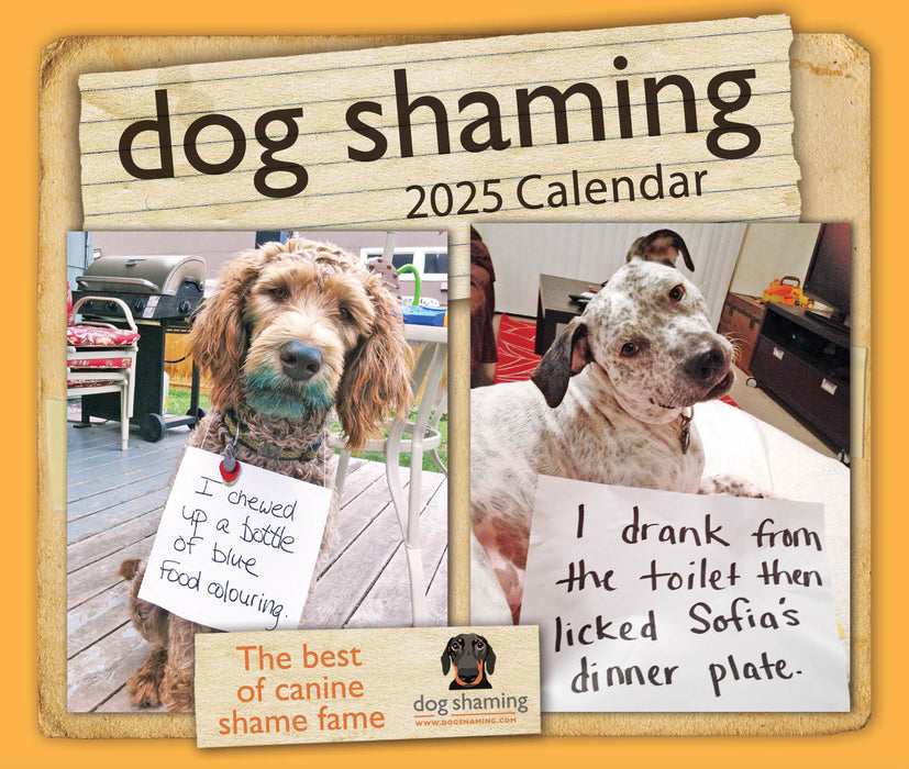 2025 Dog Shaming Page-A-Day Calendar