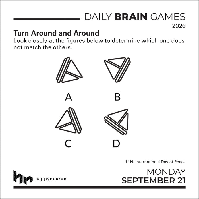 Daily Brain Games 2026 Page-A-Day Calendar