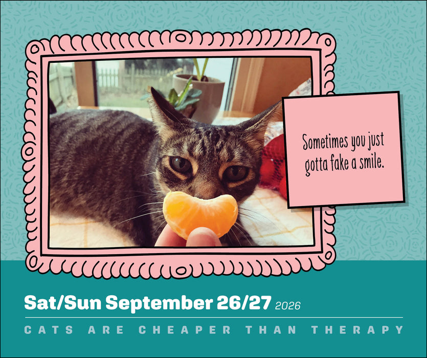 Cats Are Cheaper Than Therapy 2026 Page-A-Day Calendar