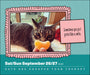 Cats Are Cheaper Than Therapy 2026 Page-A-Day Calendar