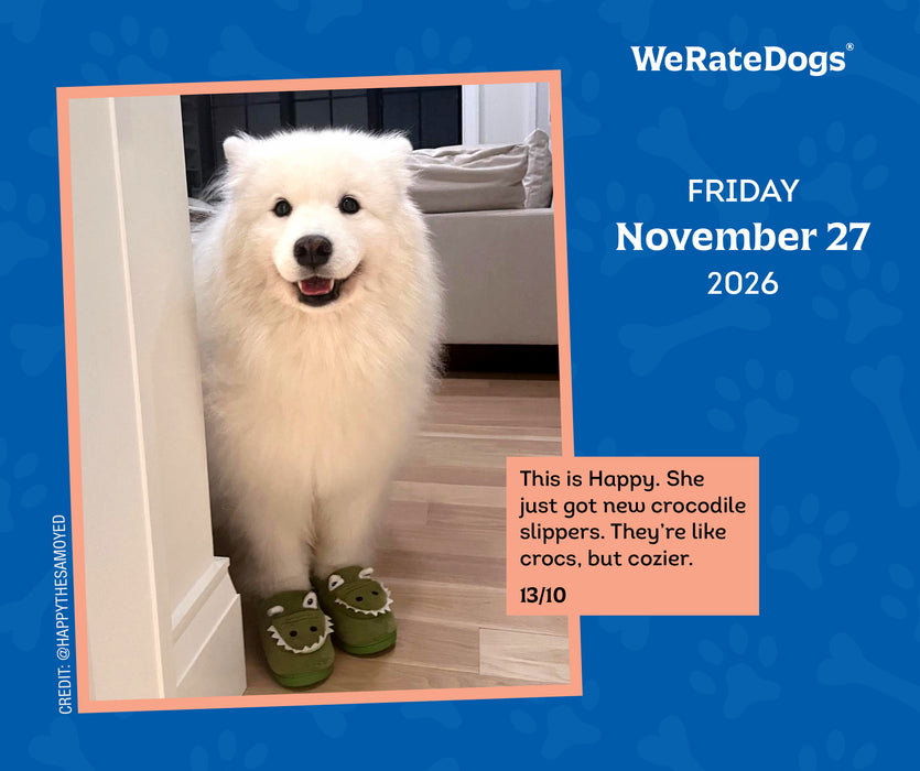 We Rate Dogs 2026 Page-A-Day Calendar