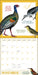 Effin' Birds 2026 Square Wall Calendar