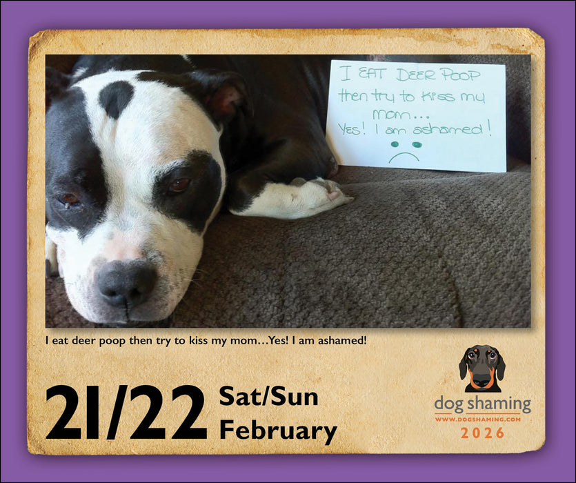 Dog Shaming 2026 Page-A-Day Calendar