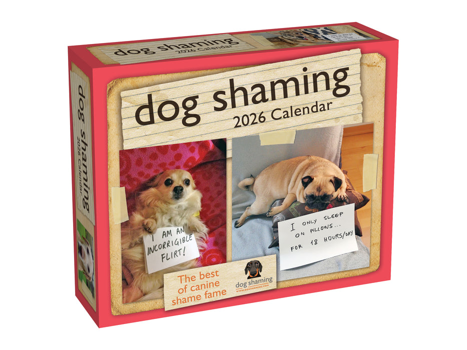Dog Shaming 2026 Page-A-Day Calendar