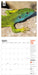WWF Amazing Wildlife 2026 Square Wall Calendar