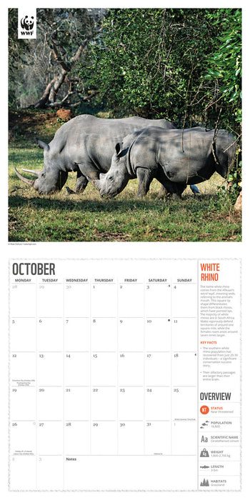 WWF Amazing Wildlife 2026 Square Wall Calendar