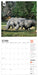 WWF Amazing Wildlife 2026 Square Wall Calendar