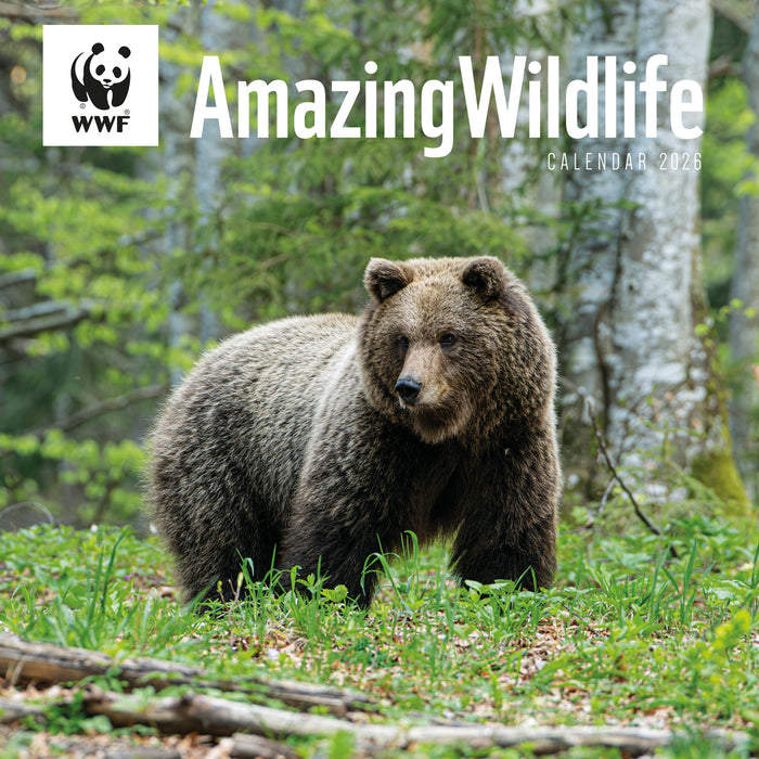 WWF Amazing Wildlife 2026 Square Wall Calendar