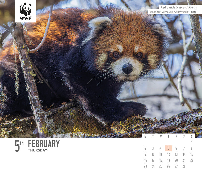 WWF Natural World 2026 Page-A-Day Calendar