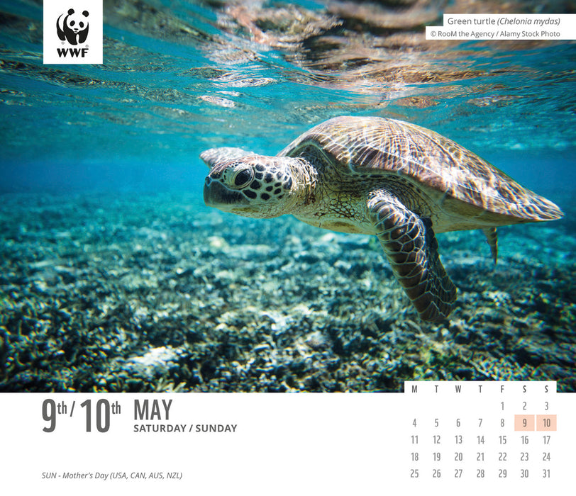 WWF Natural World 2026 Page-A-Day Calendar