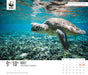 WWF Natural World 2026 Page-A-Day Calendar