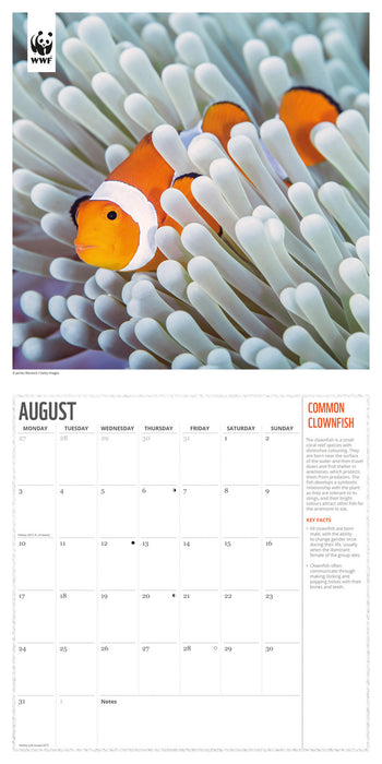 WWF Oceans 2026 Square Wall Calendar