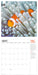 WWF Oceans 2026 Square Wall Calendar