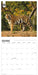 WWF Big Cats 2026 Square Wall Calendar