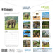 WWF Elephants 2026 Square Wall Calendar