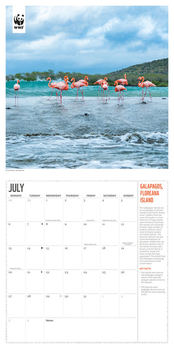 WWF Fragile Earth 2026 Square Wall Calendar